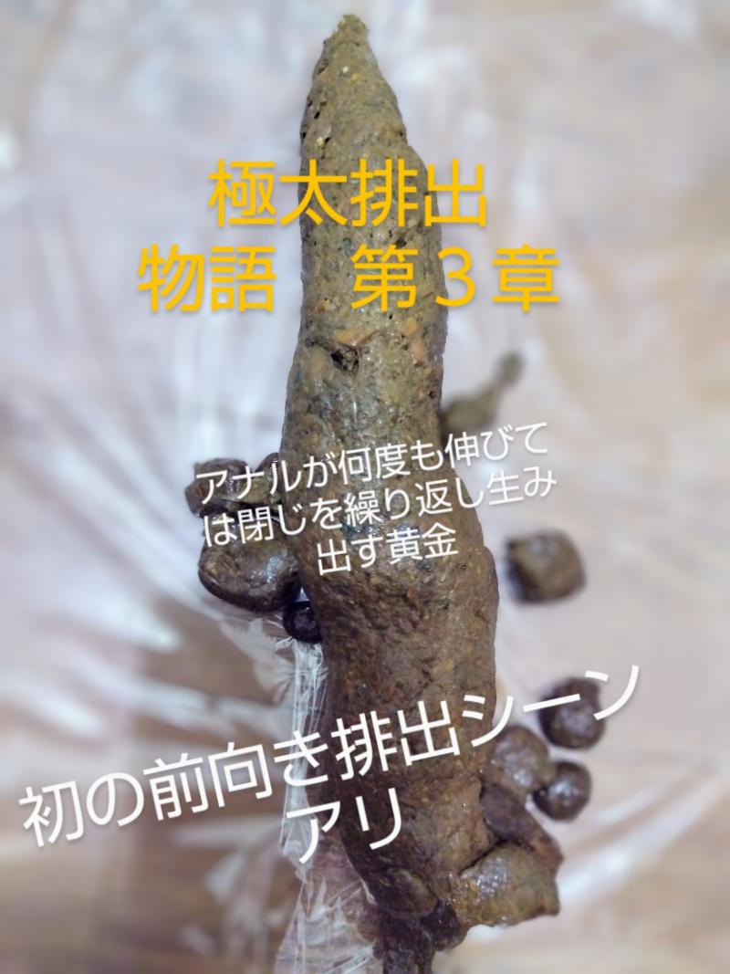 出品者名-写真-1